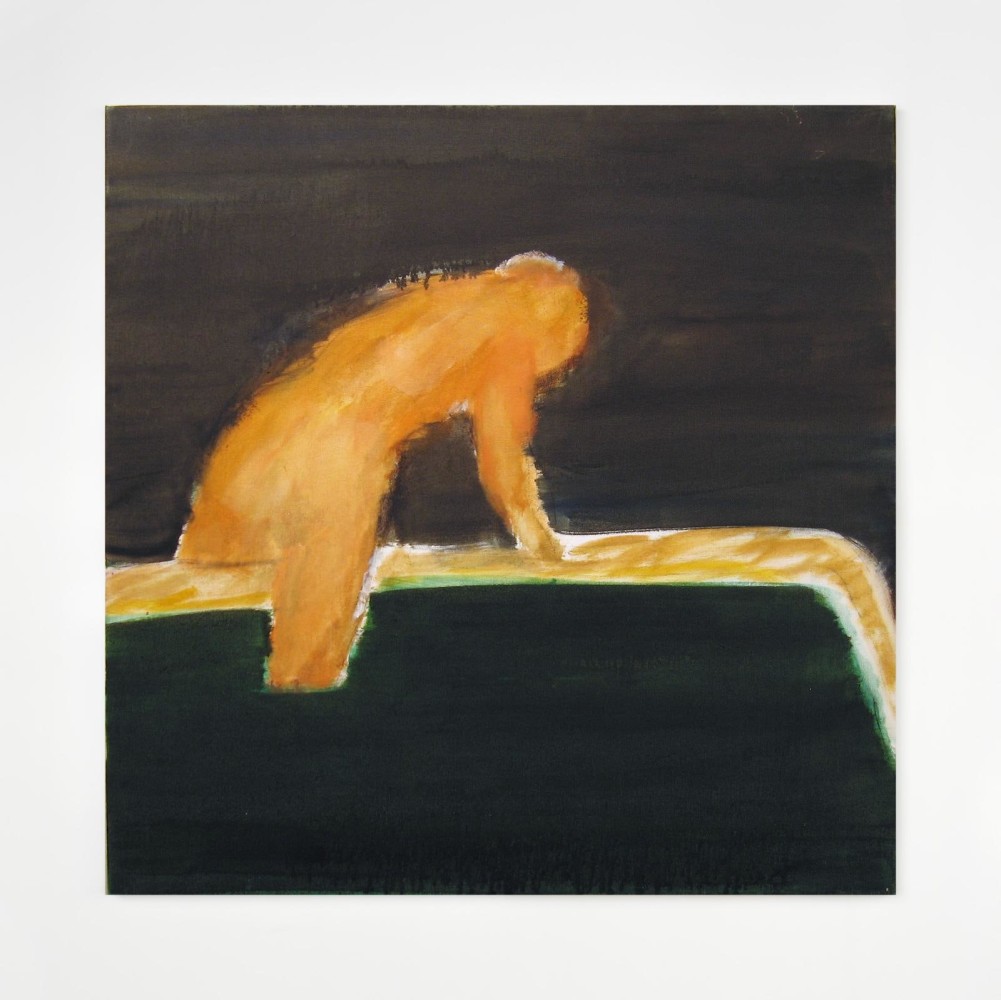 Barrie Cooke, Hot Tub V