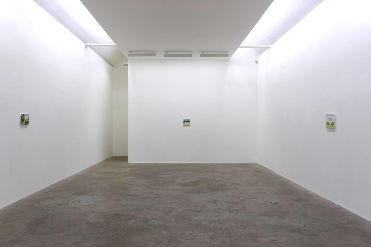 Maureen Gallace

New Paintings&amp;nbsp;

Kerlin Gallery, Dublin&amp;nbsp;

04 June - 02 July 2005