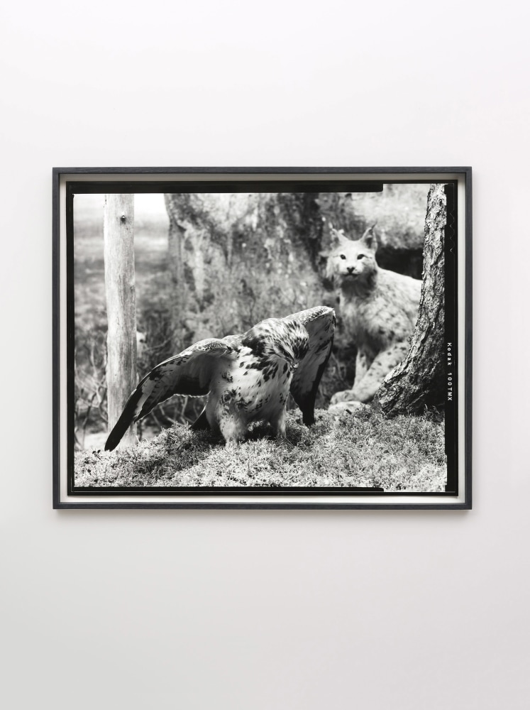 Gerard Byrne&amp;nbsp;
First beast 2018
Analogue silver gelatin print, edition of 4 + 1AP
60.5 x 74 cm / 23.8 x 29.1 in framed&amp;nbsp;&amp;nbsp;