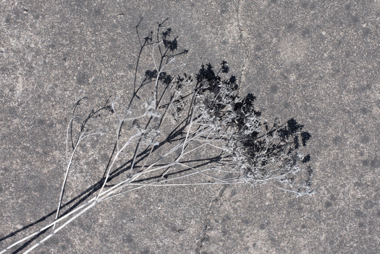 Willie Doherty&amp;nbsp;
Ashen, Restless,&amp;nbsp;2018
quadriptych, framed pigment print mounted on Dibond, edition of 3
68 x 101.1 x 3.5 cm / 26.8 x 39.8 x 1.4 in each framed

&amp;nbsp;