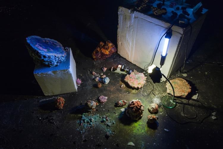 Sam Keogh
Terrestris, part of Conjuring for Beginners, 2012
Project Arts Centre, Dublin, Ireland