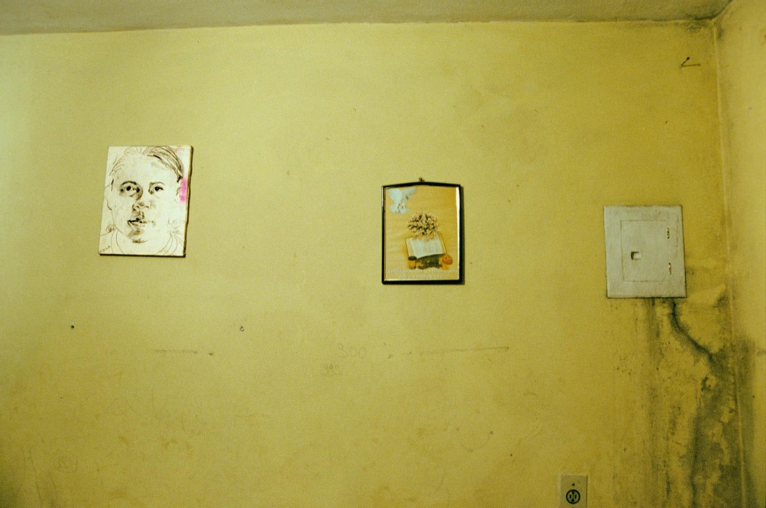 Brian Maguire, Casa Elizabeth Silva de Souza Favela, Vila Prudente