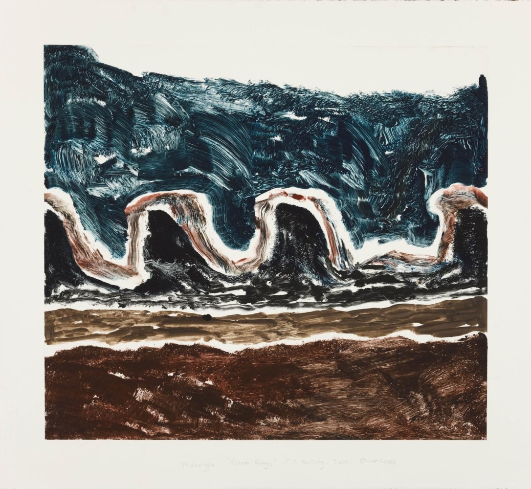 Barrie Cooke  Potato Ridges Cill Rialaig