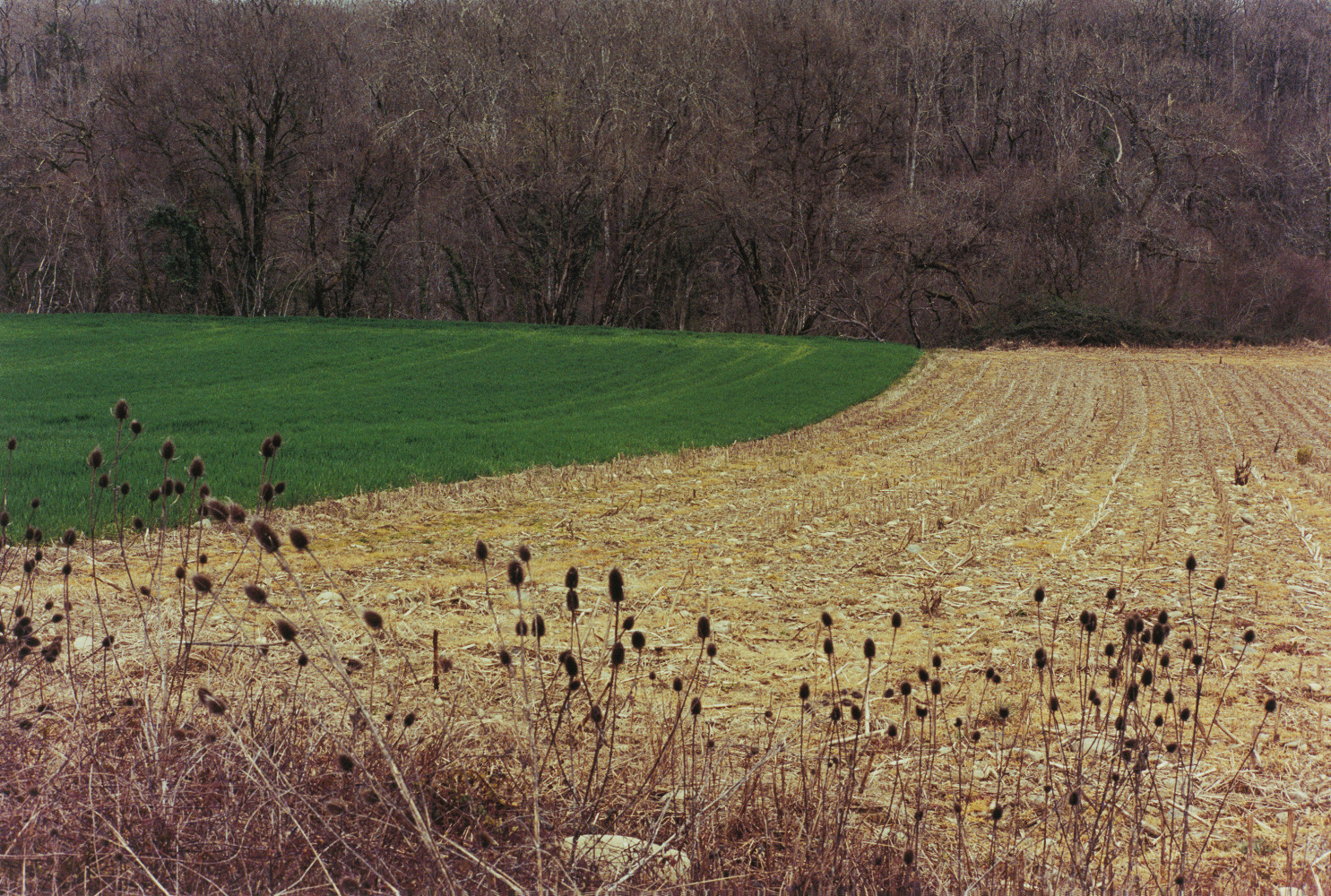 Samuel Laurence Cunnane&amp;nbsp;
Boundary,&amp;nbsp;2023
Hand-printed C-type print on archival photo paper, framed, edition of 3 + 1AP
32 x 47.5 cm / 12.6 x 18.7 in image size