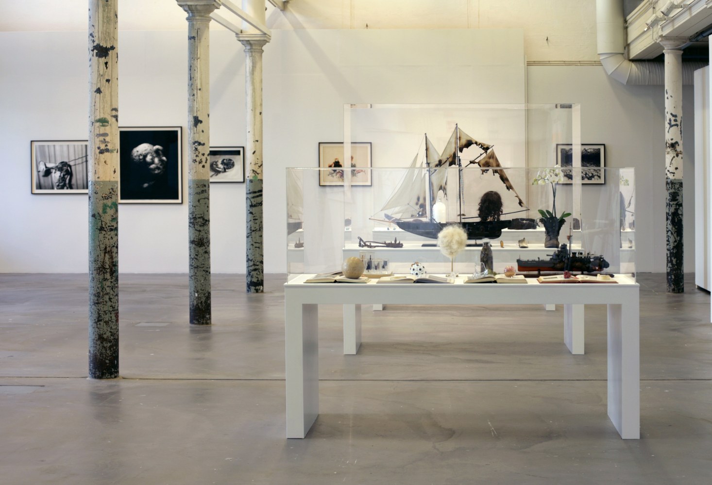 Eoin McHugh
Urpflanze, 2012
TR1 Kunsthalle, Tampere, Finland