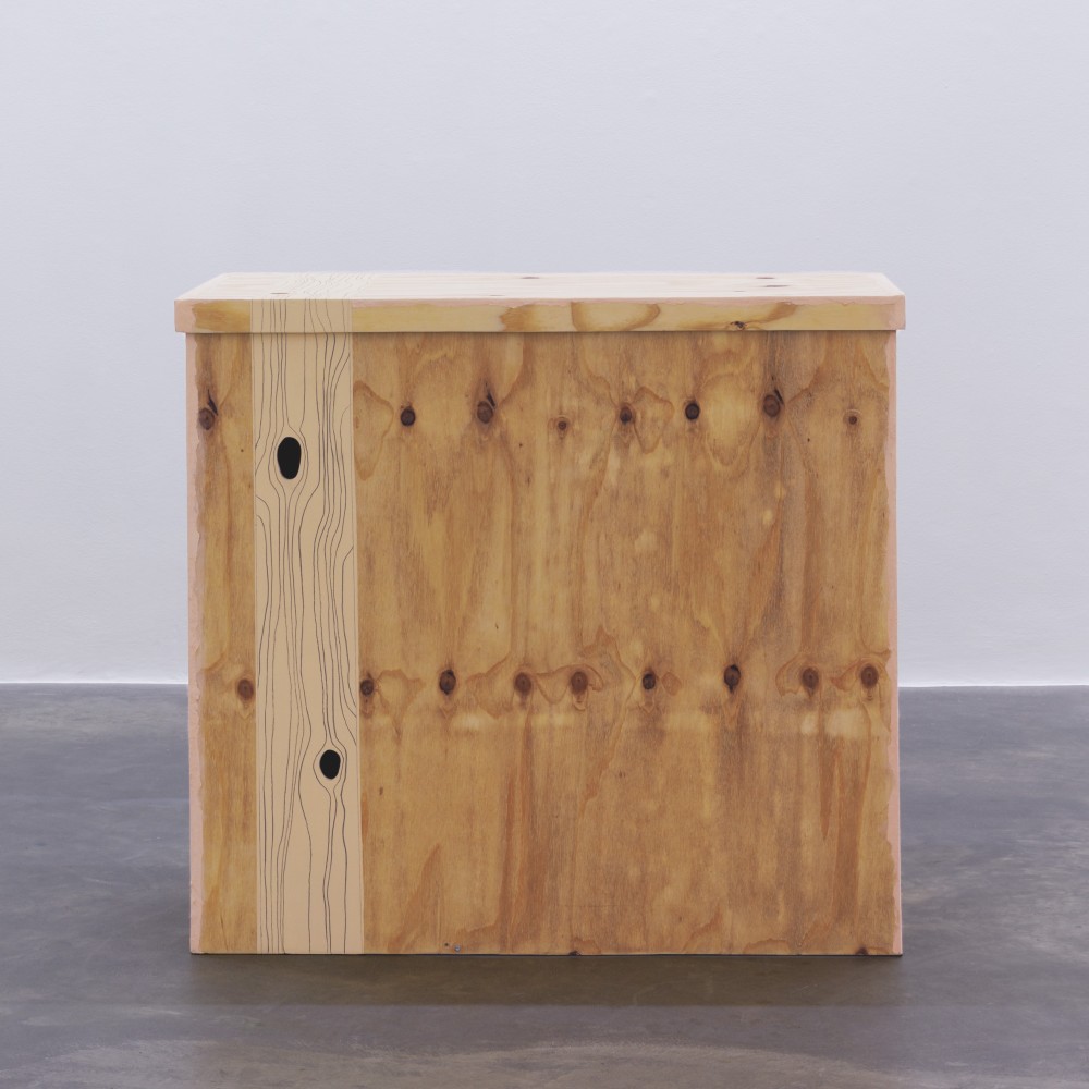 Hannah Fitz

Pinocchio&amp;#39;s Bitter End (Snuffed Out!)
2022

wood, paint, graphite

98 x 107.5 x 72.5 cm / 38.6 x 42.3 x 28.5 in