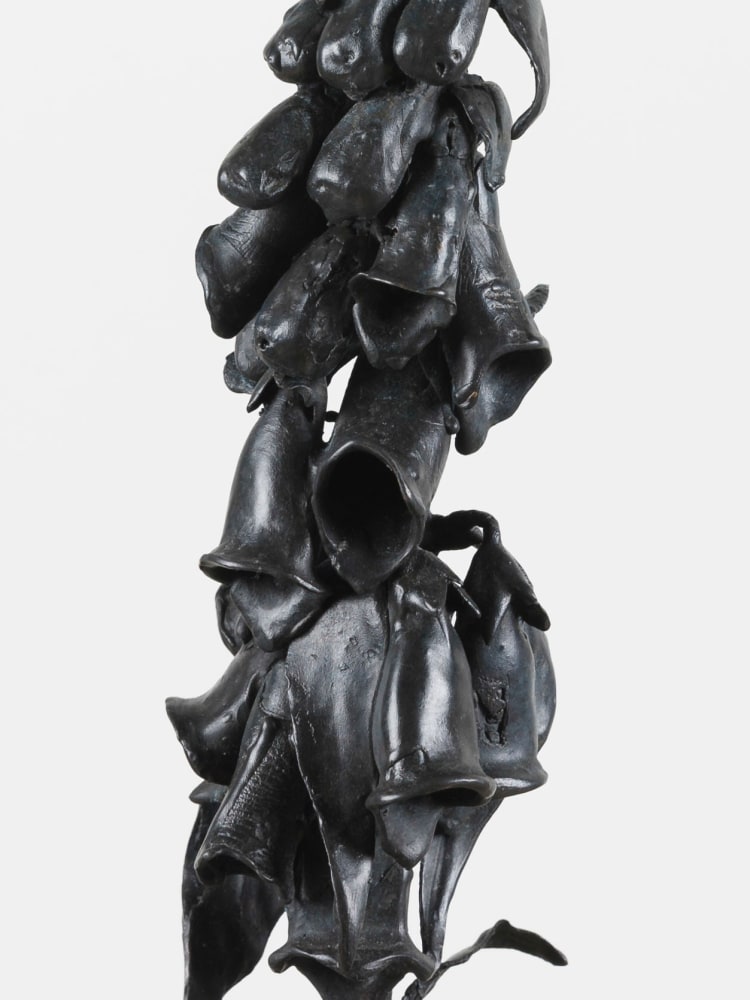 Dorothy Cross&amp;nbsp;

Foxglove, 2018

cast bronze

92 x 36 x 34 cm

36.2 x 14.2 x 13.4 in&amp;nbsp;