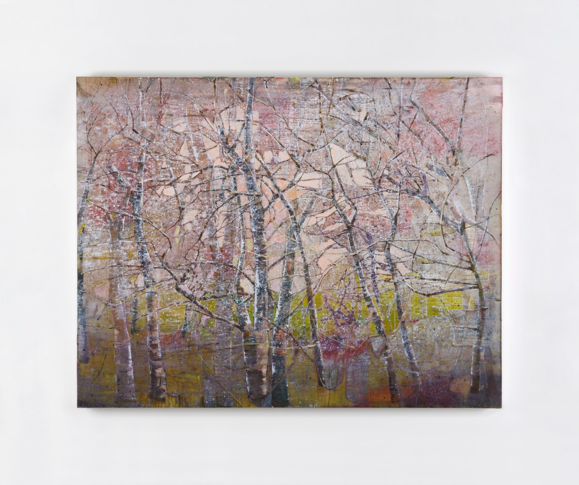 Elizabeth Magill&amp;nbsp;
Dendriform 10,&amp;nbsp;2012
oil on canvas
214 x 277 cm / 84.3 x 109.1 in&amp;nbsp; &amp;nbsp;