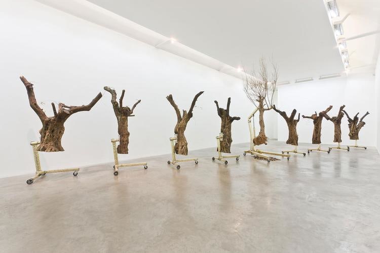 Siobh&amp;aacute;n Hapaska,&amp;nbsp;A great miracle needs to happen there, 201, olive trees &amp;ldquo;Olea europaea&amp;rdquo;, lead free solder, brass, steel, cast iron, 9 elements, dimensions of each vary