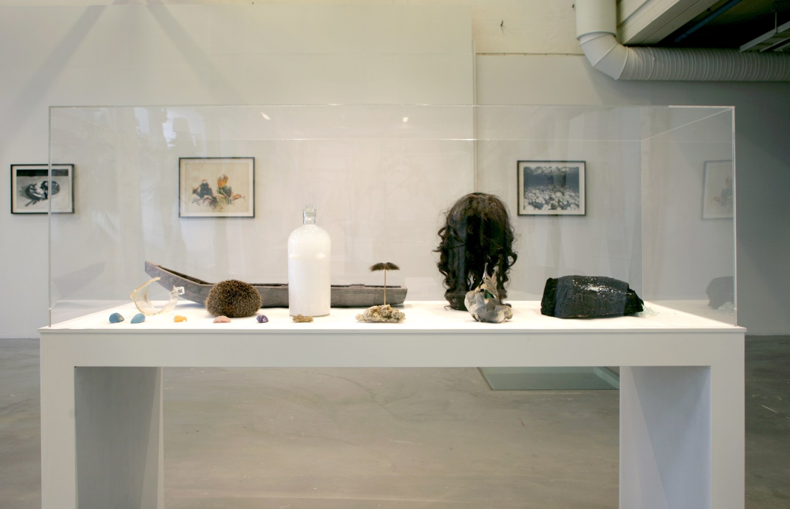 Eoin McHugh
Urpflanze, 2012
TR1 Kunsthalle, Tampere, Finland