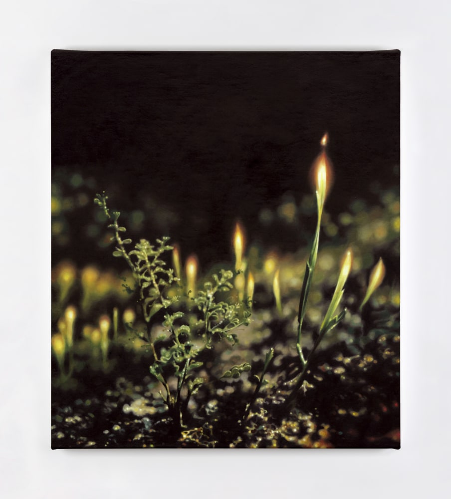 Eoin Mc Hugh&amp;nbsp;
pulse, thirst, rain inside, 2013
oil on canvas mounted on aluminium panel
36.5 x 31.5 cm / 14.4 x 12.4 in&amp;nbsp; &amp;nbsp;