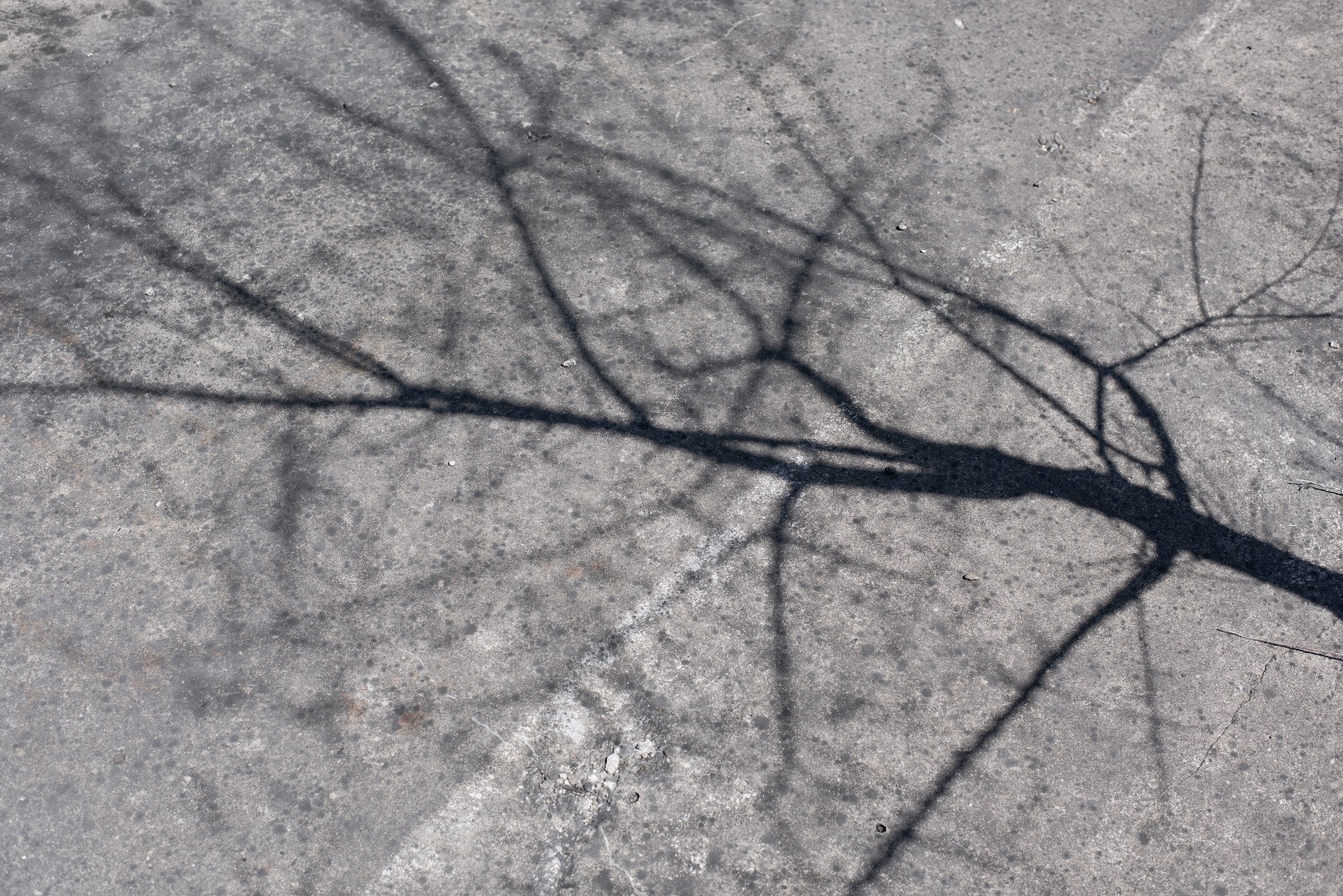 Willie Doherty&amp;nbsp;
Ashen, Restless,&amp;nbsp;2018
quadriptych, framed pigment print mounted on Dibond, edition of 3
68 x 101.1 x 3.5 cm / 26.8 x 39.8 x 1.4 in each framed

&amp;nbsp;