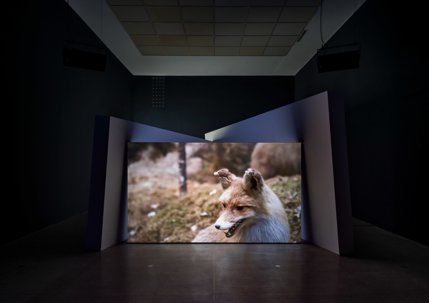 Gerard Byrne
Jielemeguvvie guvvie sjisjnjeli &amp;ndash; Film inside an Image,&amp;nbsp;2016
single channel film, back projection 17 minutes, continuous loop
Installation view, Secession, Vienna 2019, photo: Iris Ranzinger