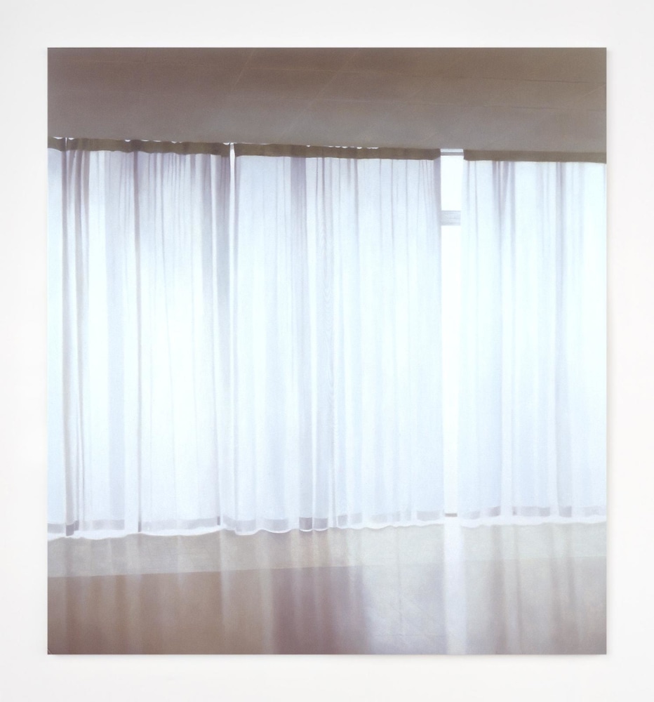 Veil 12&amp;nbsp;2002&amp;nbsp;oil on linen&amp;nbsp;185 x 206 cm / 72.8 x 81.1 in &amp;nbsp;