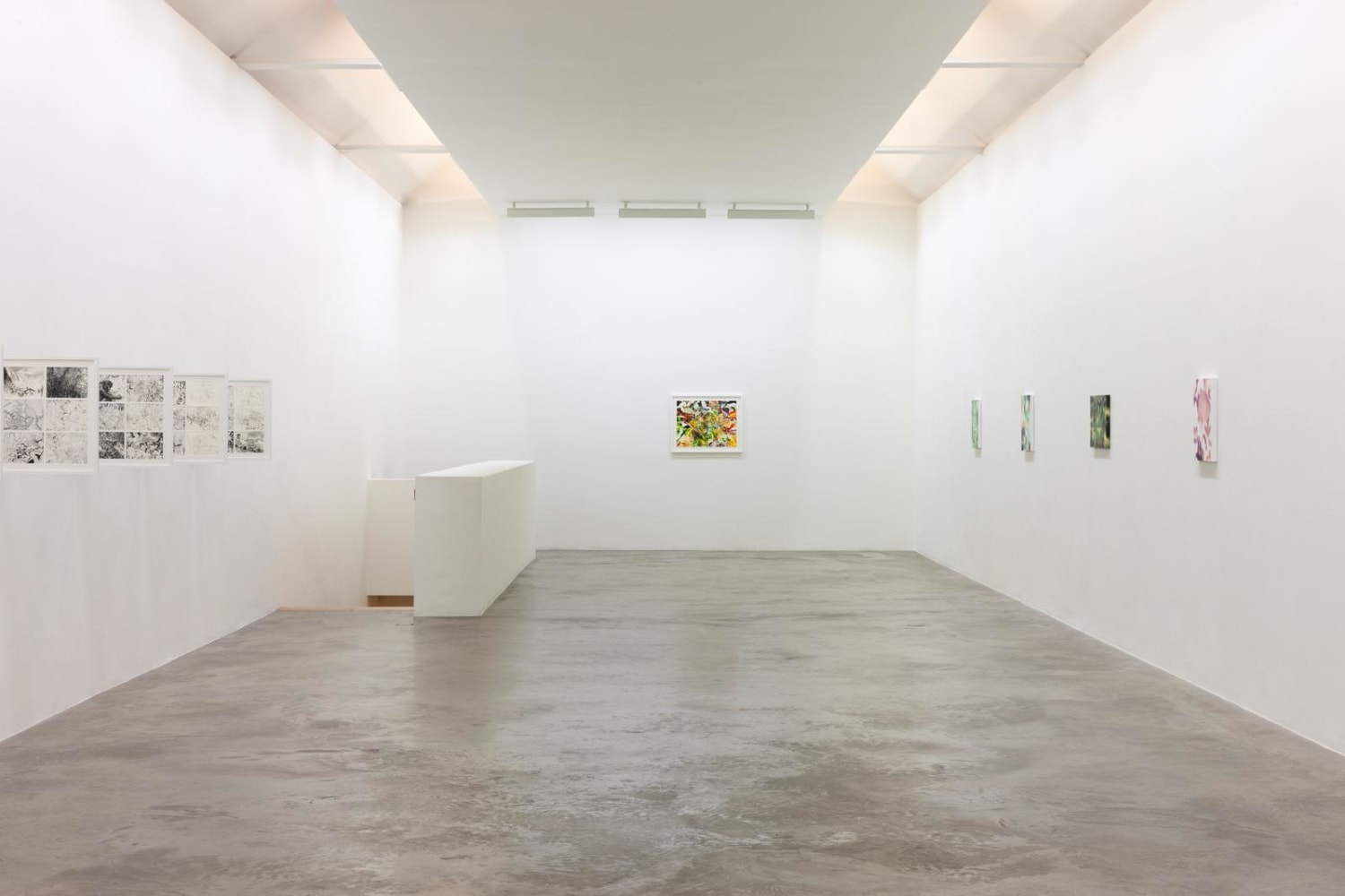 Eoin Mc Hugh,&amp;nbsp;Loje, jelo, laso, Kerlin Gallery, October 2019
