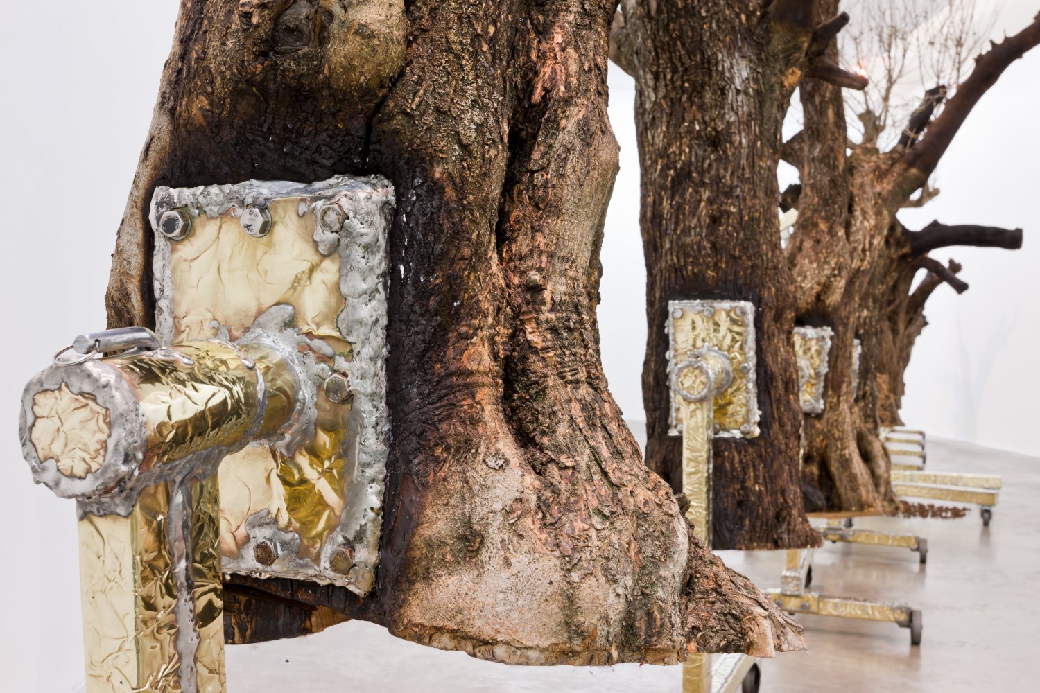 Siobh&amp;aacute;n Hapaska&amp;nbsp;
a great miracle needs to happen there, 2011
olive trees &amp;ldquo;Olea europaea&amp;rdquo;, lead free solder, brass, steel, cast iron, 9 elements
dimensions of each vary