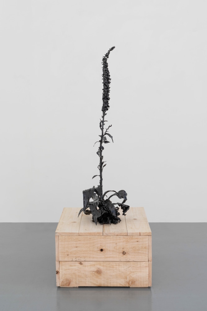 Dorothy Cross
Foxglove, 2024
cast bronze
125 x 58 x 43 cm / 49.2 x 22.8 x 16.9 in
39 x 79.5 x 64.5 cm / 15.4 x 31.3 x 25.4 in plinth
