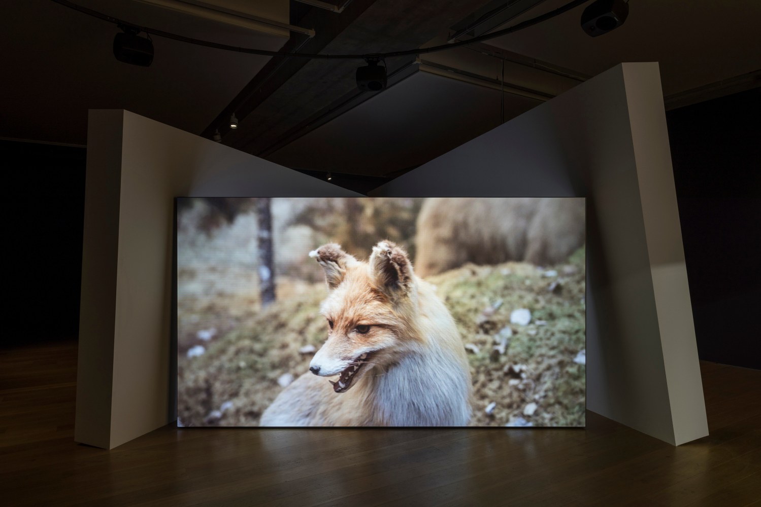 Gerard Byrne
Jielemeguvvie guvvie sjisjnjeli (Film inside an image), 2024
Towner Eastbourne, UK
Photo: Rob Harris