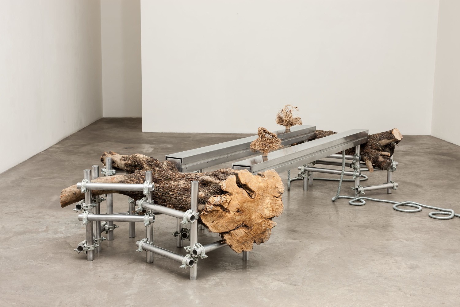 Siobhán Hapaska, the recent incarnation of two advanced souls, 2012