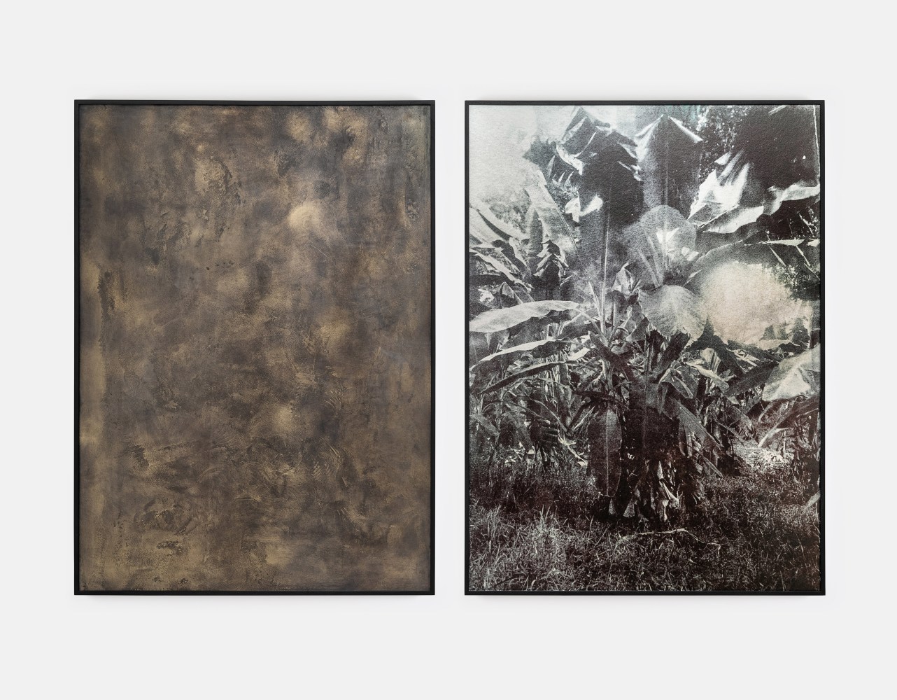 Ailbhe N&amp;iacute; Bhriain&amp;nbsp;

Untitled (plant),&amp;nbsp;2025

diptych, pigment print and brass panel in stained walnut frames, edition of 3 + 2 AP

152.5 x 111 cm / 60 x 43.7 in each framed &amp;nbsp;