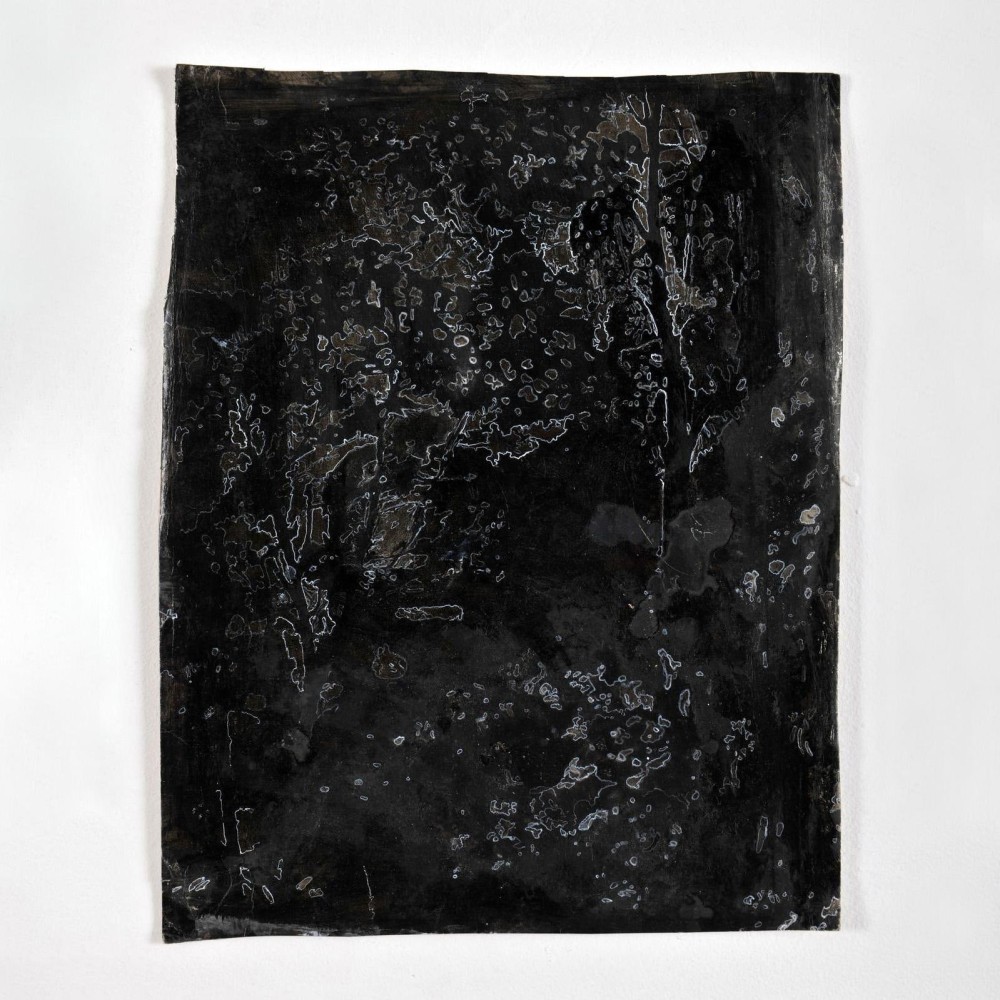 Kathy Prendergast  DARK WOODS