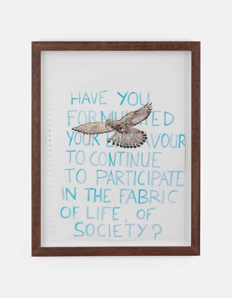 Isabel Nolan Bird of prey, 2007-09 watercolour and pencil on paper