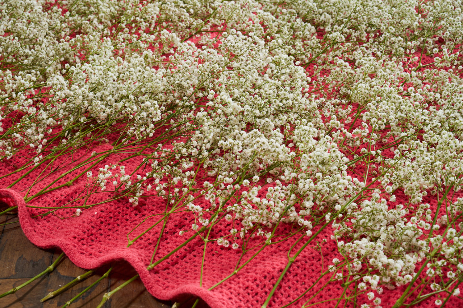 Kathy Prendergast, Stasis Field