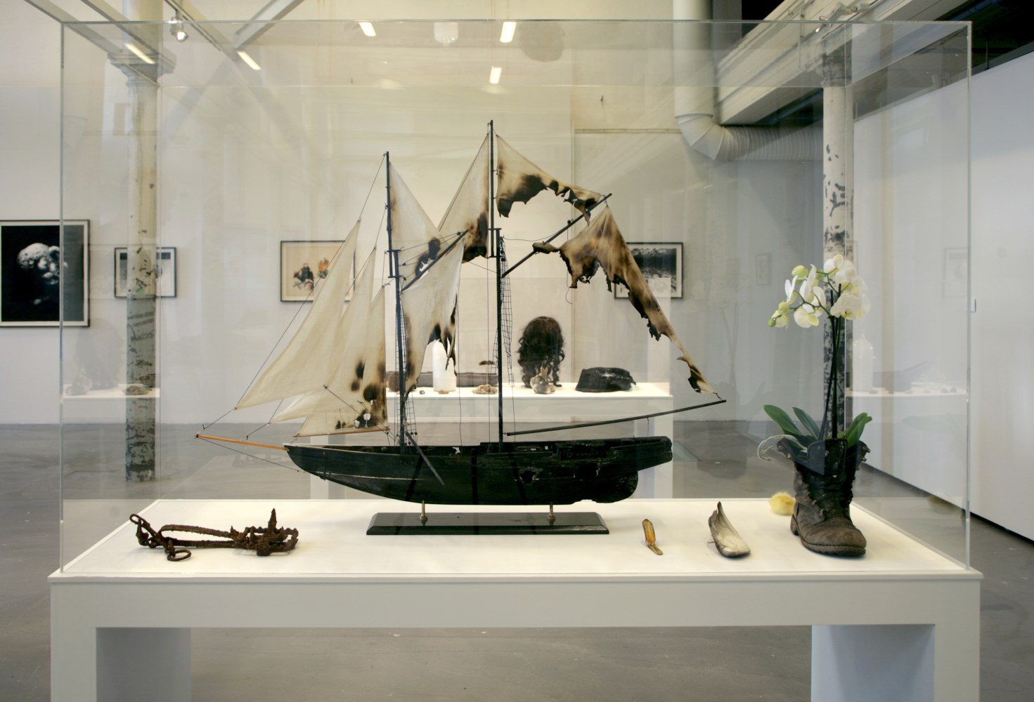 Eoin McHugh
Urpflanze, 2012
TR1 Kunsthalle, Tampere, Finland