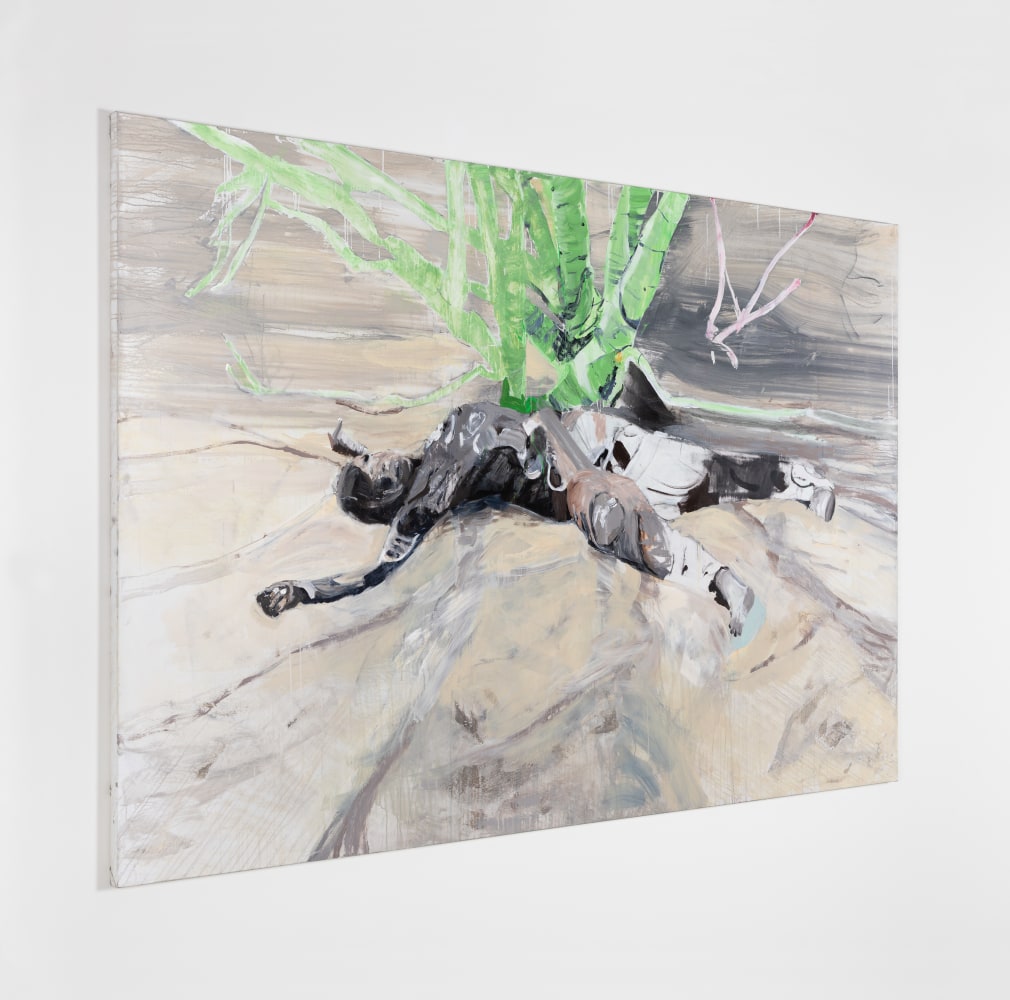 Brian Maguire
Arizona 4
2020
acrylic on canvas
200 x 300 cm / 78.7 x 118.1 in