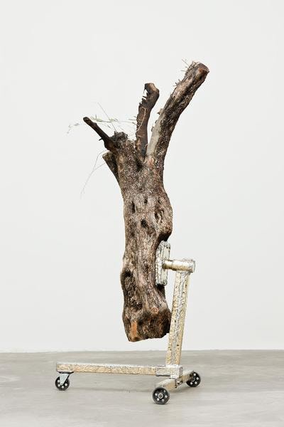 Siobh&amp;aacute;n Hapaska,&amp;nbsp;A great miracle needs to happen there, 201, olive trees &amp;ldquo;Olea europaea&amp;rdquo;, lead free solder, brass, steel, cast iron, 9 elements, dimensions of each vary