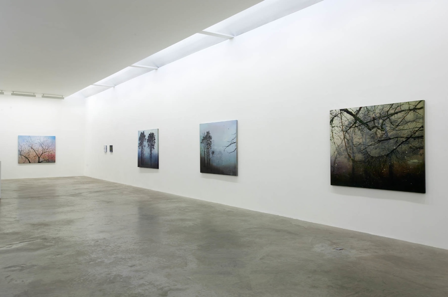 Elizabeth Magill
Arborescence, 2006
Kerlin Gallery, Dublin, Ireland