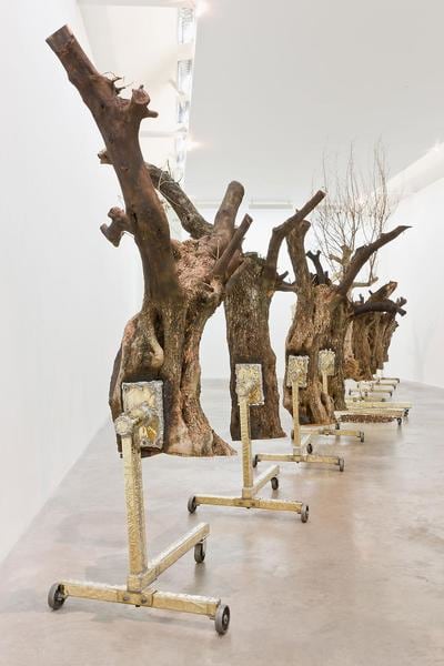 Siobh&amp;aacute;n Hapaska,&amp;nbsp;A great miracle needs to happen there, 201, olive trees &amp;ldquo;Olea europaea&amp;rdquo;, lead free solder, brass, steel, cast iron, 9 elements, dimensions of each vary