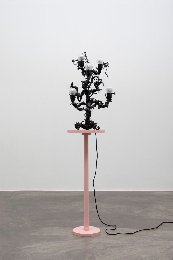 Tai Shani
Unresurrectable Biologies - Un-undead 2, 2022
Epoxy, glass, 3D prints, mohair sheepskin, electrics
80 x 50 cm / 31.5 x 19.7 in