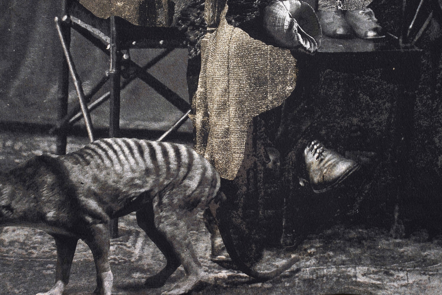 Ailbhe N&amp;iacute; Bhriain
Interval I,&amp;nbsp;2023
Jacquard tapestry, cotton, wool, silk, Lurex, edition of 3 + 2AP
295 x 396 cm / 116.1 x 155.9 in&amp;nbsp;