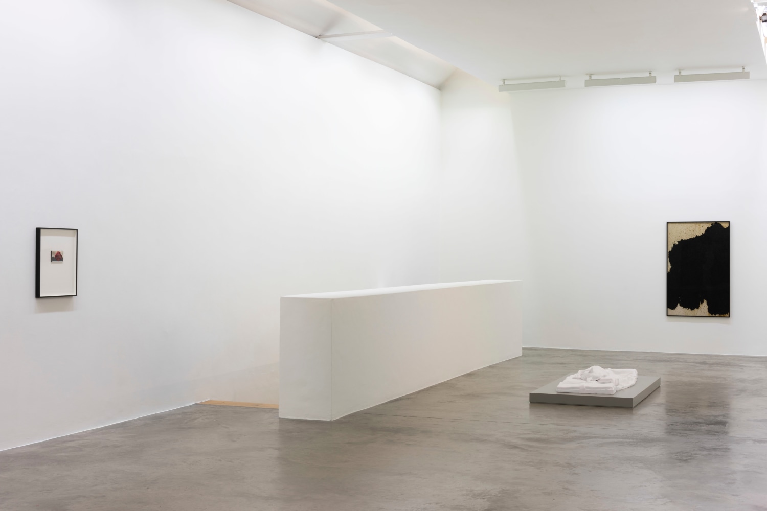 Ailbhe N&iacute; Bhriain