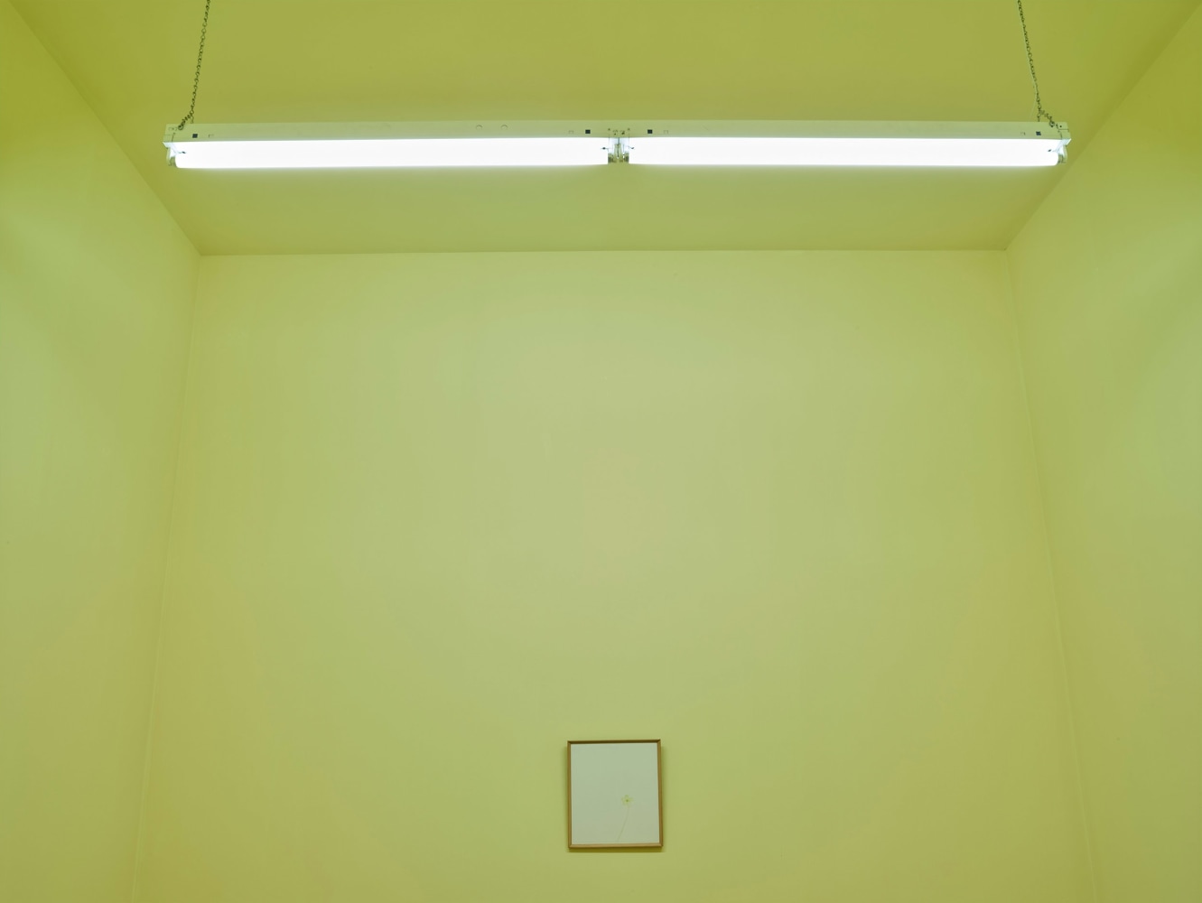 William McKeown
The Dayroom, 2004-2010, 2016
Dallas Museum of Art, Texas, USA