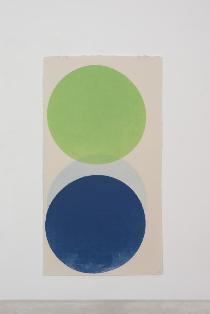 Green Blue Too,&amp;nbsp;2014

dye on handmade Echizen kozo washi paper

198 x 108.5 cm / 78 x 42.7 in&amp;nbsp; &amp;nbsp;