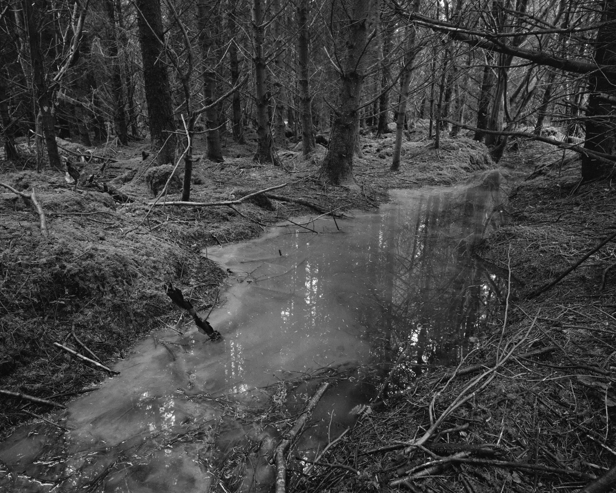 Willie Doherty, Lost, 2023