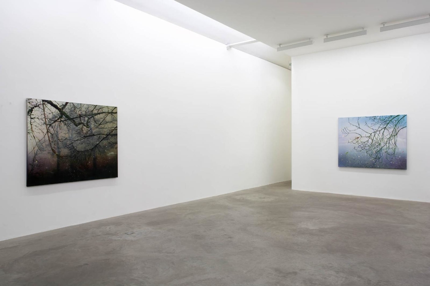 Elizabeth Magill, Arborescence, 2