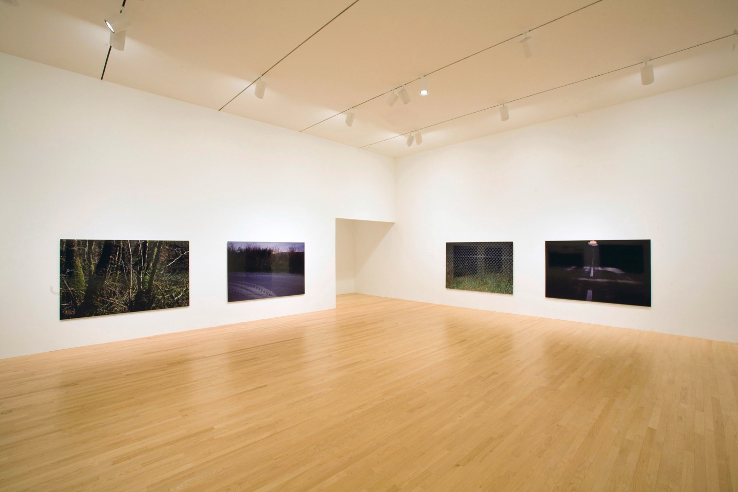 Willie Doherty
Requisite Distance, 2009
Dallas Museum of Art, USA