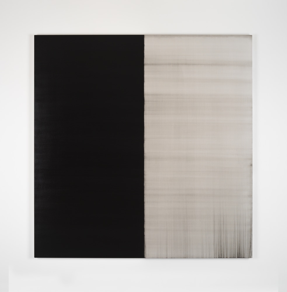 Callum Innes - Artists - Kerlin Gallery