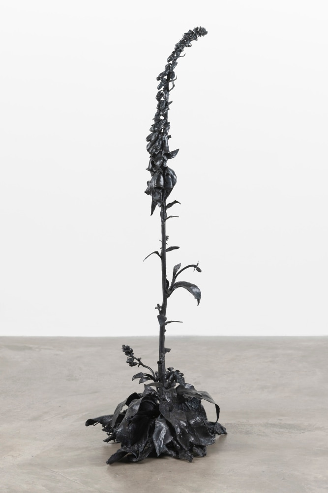Dorothy Cross&amp;nbsp;

Foxglove, 2018

cast bronze

92 x 36 x 34 cm

36.2 x 14.2 x 13.4 in&amp;nbsp;