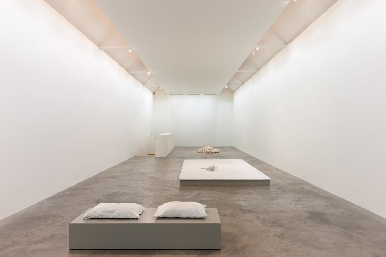 Dorothy Cross I dreamt I dwelt Kerlin Gallery 6 September - 19 October 2019