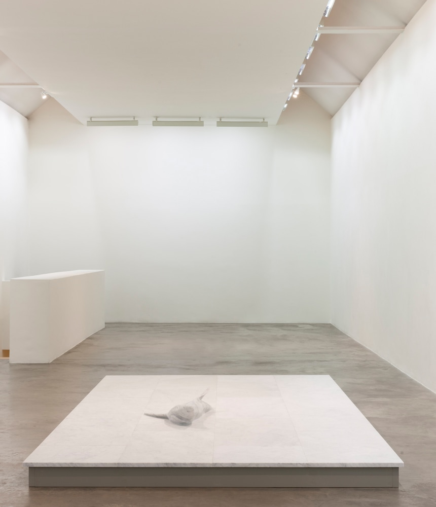 Dorothy Cross
ROOM,&amp;nbsp;2019
Carrara marble
24 x 240 x 480 cm cm / 9.4 x 94.5 x 189 in&amp;nbsp;