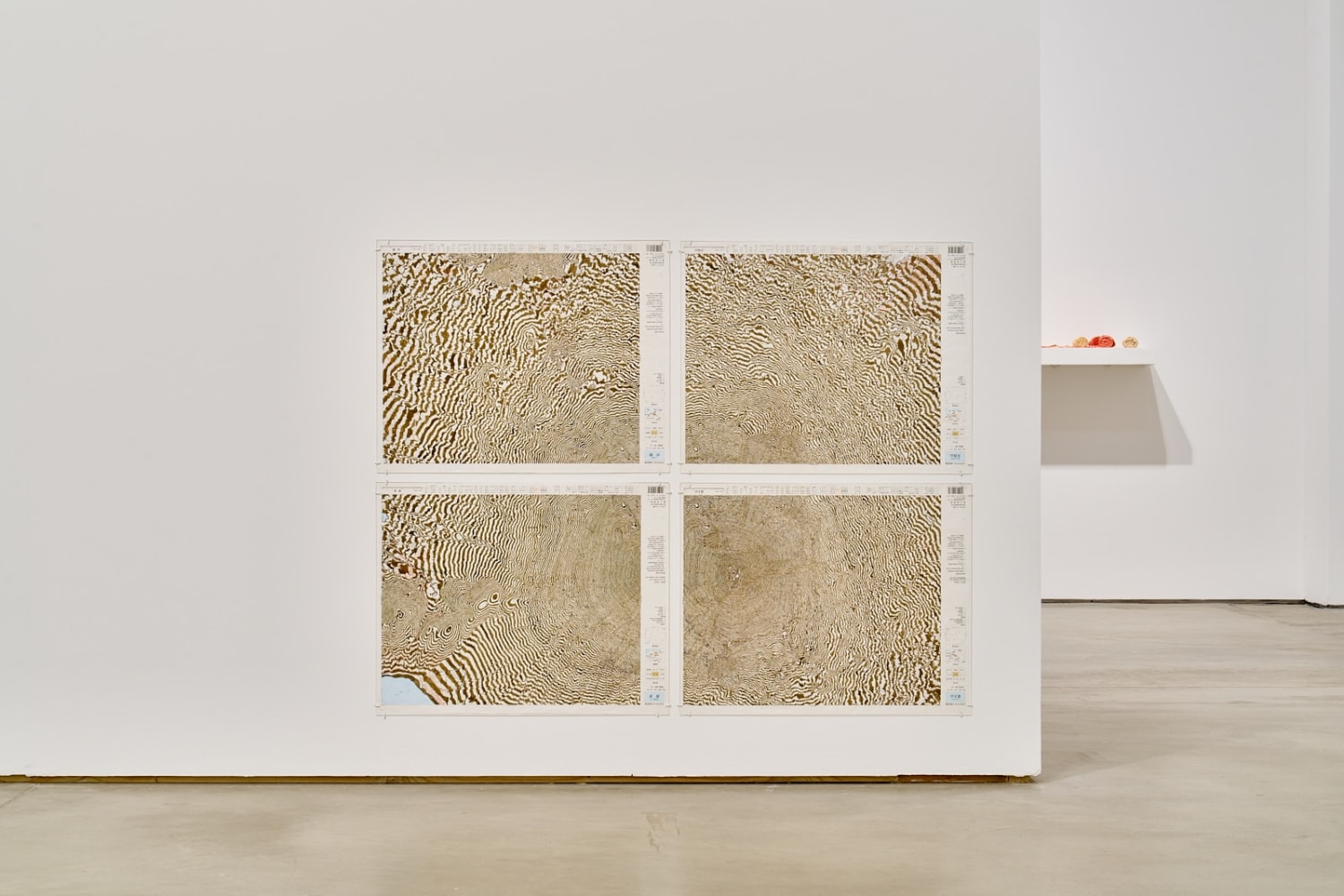 Kathy Prendergast, Stasis Field, installation view, John Hansard Gallery, Southampton, UK, 8 February – 3 May 2025. Photo by Reece Straw