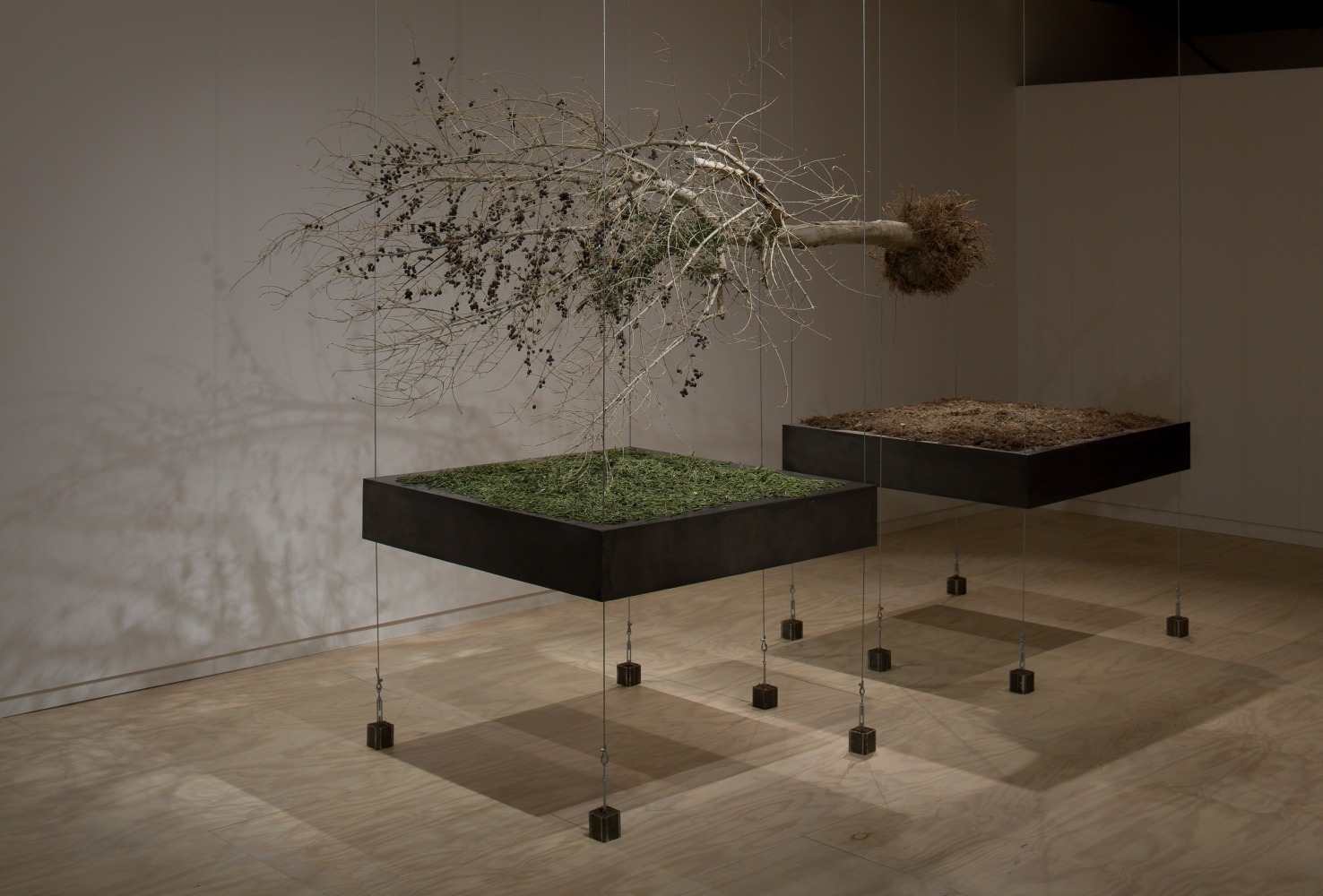 Siobh&amp;aacute;n Hapaska
The Nose that Lost its Dog, 2009
Glasgow Sculpture Studios, Glasgow, UK