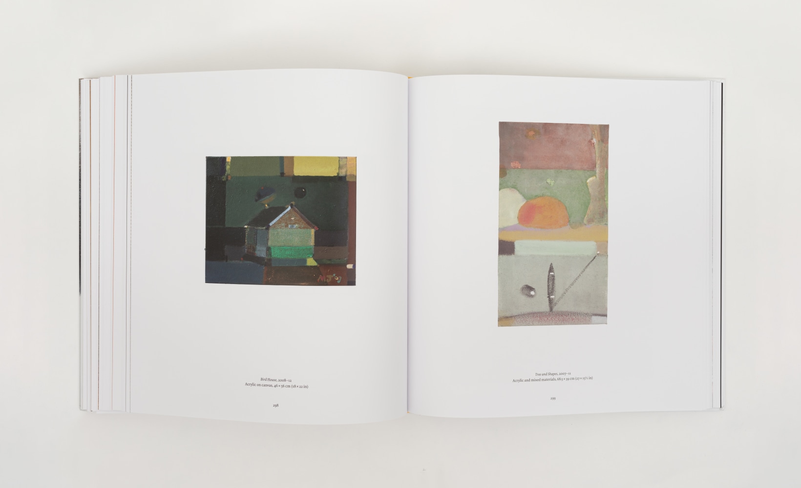 Merlin James, 2023, publication