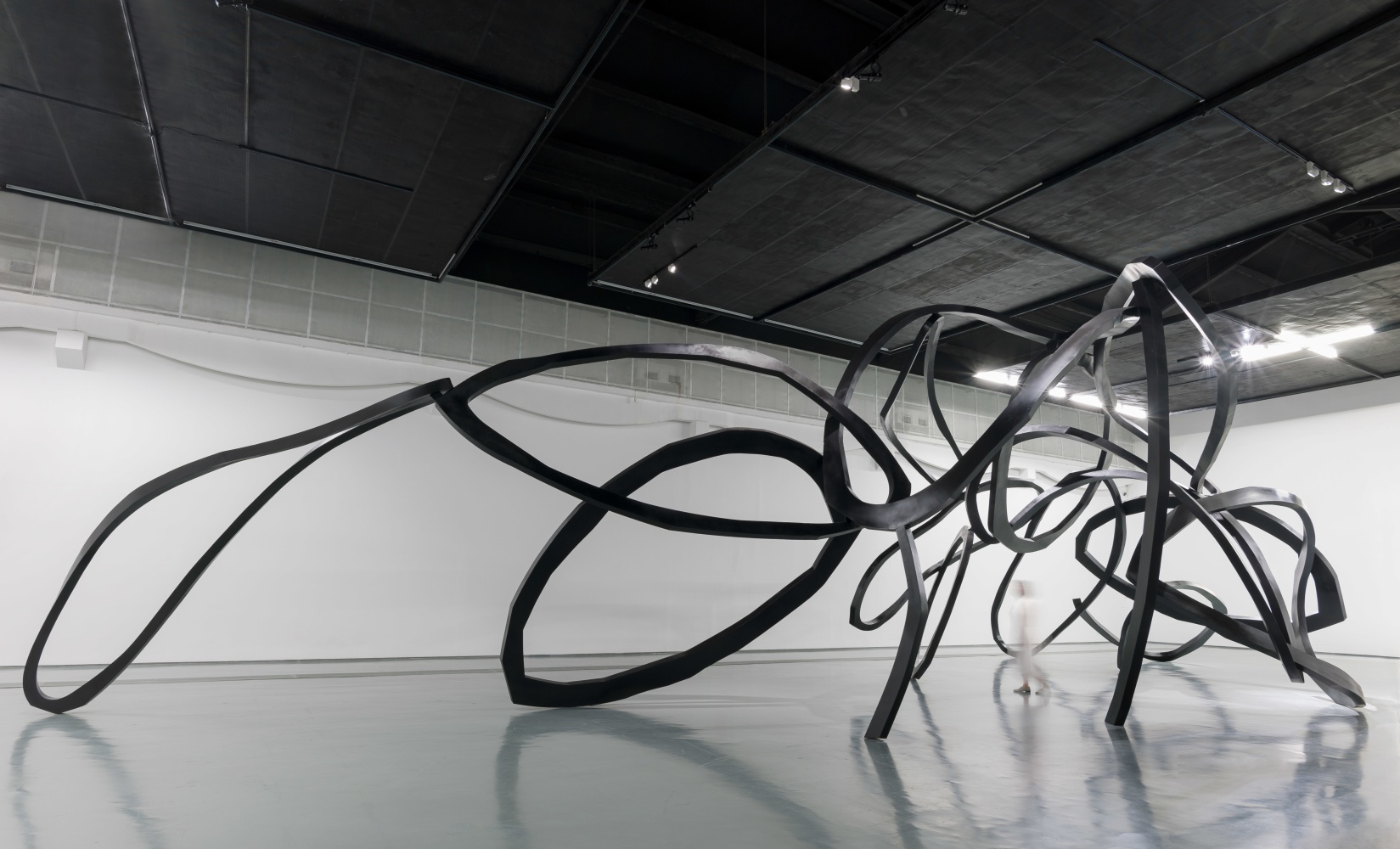 Zhou Li
The Ring of Life,&amp;nbsp;2017
Hive Centre for Contemporary Art, Beijing, China