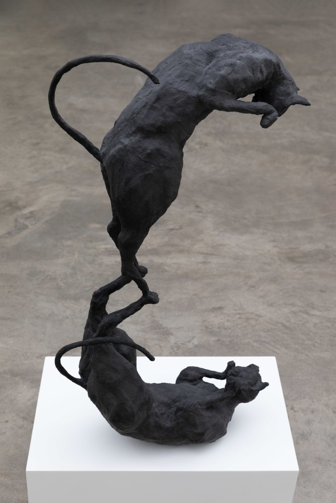 Hannah Fitz&amp;nbsp;
Cats VI,&amp;nbsp;2021
steel, card, tape, plaster bandage, pigmented jesmonite
94 x 21 x 50 cm / 37 x 8.3 x 19.7 in&amp;nbsp;