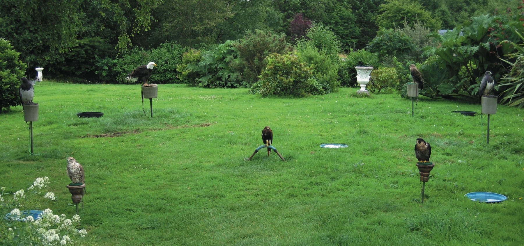 2007 In A World Like This